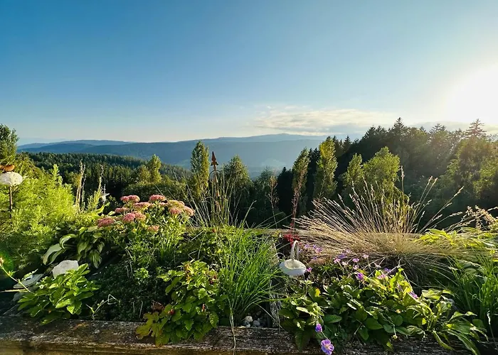 Almblick In Ruhiger Lage